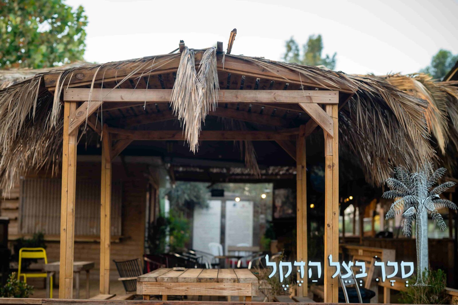 סכך כפות תמרים משובח
